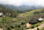 Traditional houses with thatched palm roofs dot the countryside.