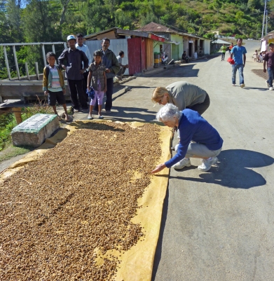 Del and I check out coffee beans drying on the road.